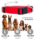 Native Pup Basic Nylon Dog Collar - Adjustable for Small, Medium, Large Pets, Cute Colors for Male, Female (Large, Red)