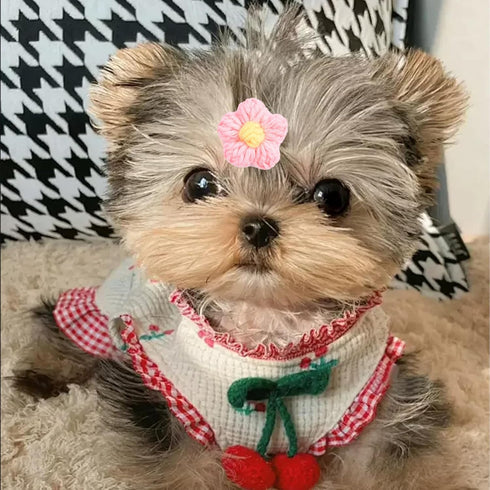 PET SHOW 10Pairs Flower Dog Hair Bows, Grooming Accessories for Small Medium Dogs, Yorkie Boy Girl with Rubber Band