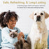 Pet Deodorizing Body Spray, Sweet Sugar Cookie Scent, Long-Lasting Dog Body Spray & Cat Cologne, 8 Fluid Ounces