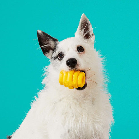 Hive Chew Toy for Small Dogs - Durable and Tough Dog Chew Toy for Puppies and Small Breeds - Floats in Water