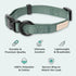 FuzzYard Life Stylish Dog Collars | Size M | Premium Cotton Design in Myrtle Green for Everyday Wear