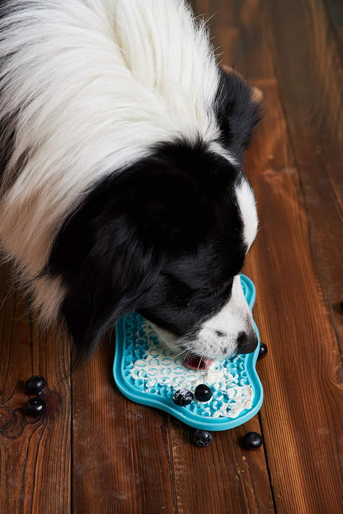 PAW 2-in-1 Interactive Slow Feeder Bowl with Removable Lick Mat - Blue