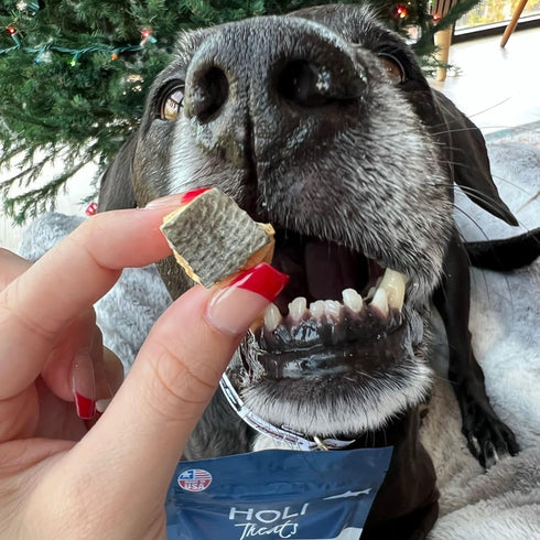 HOLI Freeze Dried Salmon Dog Treats, with Omega 3 and 6 Fish Oil, Grain Free, Made in USA