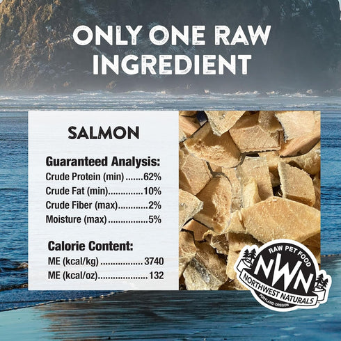 Northwest Naturals Raw Rewards Freeze-Dried Salmon Treats for Dogs and Cats, 2.5 Oz