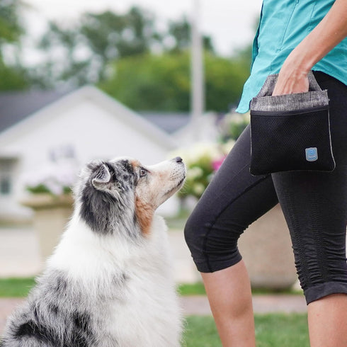 Blue-9 Inspire Dog Training Treat Pouch - Convenient Storage and Easy Access for Treats