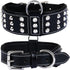 Genuine Leather Studded Dog Collar | Brazier Rivet | 2” Wide, Heavy Duty, Cushion Padding for Medium, Large, XL