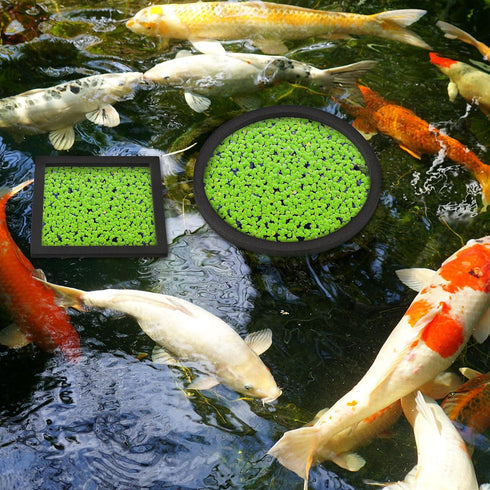 20 Pcs Aquarium Floating Plant Rings, Round Square Foam Circles for Fish Feeding, 5 Sizes (Black)
