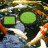 20 Pcs Aquarium Floating Plant Rings, Round Square Foam Circles for Fish Feeding, 5 Sizes (Black)