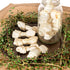 Pet Factory 100% USA Beefhide Knotted Bones Dog Chew Treats - 4" Natural Flavor, 24 Count/1 Pack