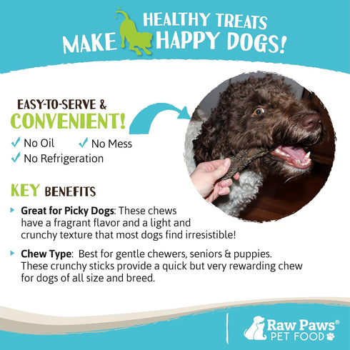 Raw Paws Green Beef Tripe Sticks for Dogs, 6-Inch (5-Count), Dried Tripe Dog Treats from Free-Range Cows