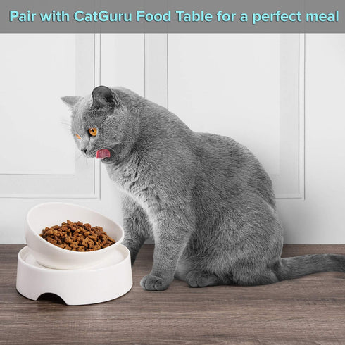 CatGuru Cat Food Bowl - Ceramic No Spill Bowls with Silicone Non-Slip Mat (High-Low, White)
