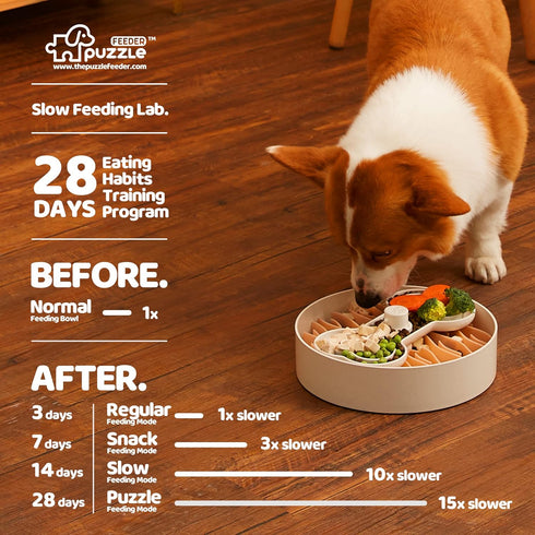 Pink Puzzle Feeder Bowl for Dogs - Slow Feeding Dog Food Puzzle