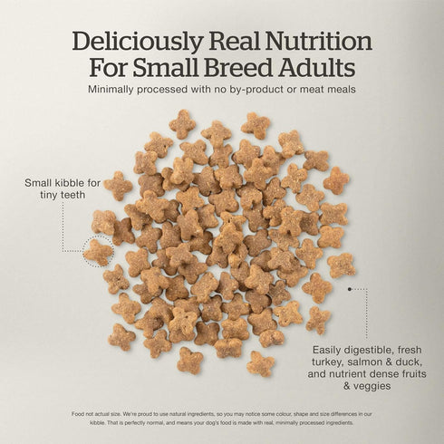 Now Fresh Dry Dog Food for Small Breeds, Turkey, Salmon & Duck Recipe, 6 lbs - Grain Free
