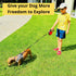Dog Leash - Retractable Leash for Pets, 16FT Extendable Leash with Removable Poop Bag Dispenser (RED, MEDIUM)