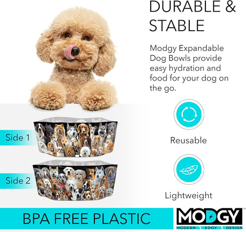 MODGY Collapsible Dog Water and Food Bowl Set, Reusable Plastic Pet Dish for Travel, Camping, 2 Pack
