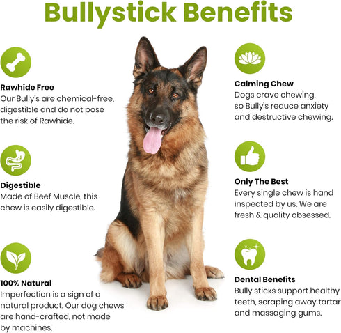 Sancho & Lola's Bully Sticks for Dogs - 12-inch Thin (10 Count) - Grass-Fed, Grain-Free, High Protein Chews