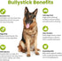 Sancho & Lola's Bully Sticks for Dogs - 12-inch Thin (10 Count) - Grass-Fed, Grain-Free, High Protein Chews