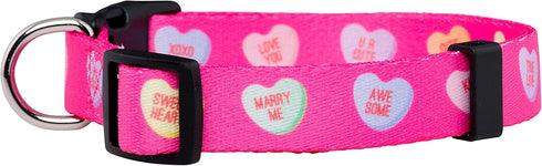 Native Pup Valentine’s Dog Collar, Adjustable for Small, Medium, Large Breeds, Candy Hearts, Small
