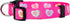 Native Pup Valentine’s Dog Collar, Adjustable for Small, Medium, Large Breeds, Candy Hearts, Small