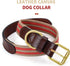 Mile High Life Genuine Leather Dog Collar - Heavy Duty Canvas Dog Collars with Adjustable Rust-Proof Metal Pin Buckle,