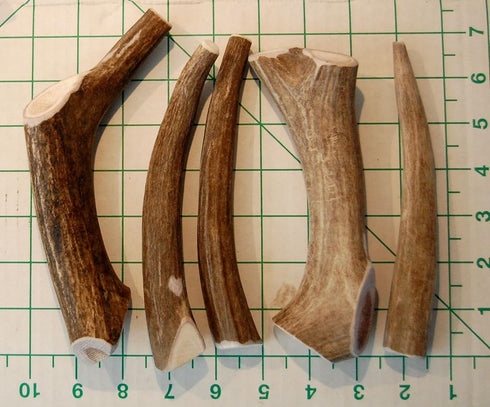 Premium Deer Antler Pieces - Dog Chews, Antlers by The Pound, One Pound, 6 Inches or Longer