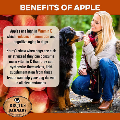 BRUTUS & BARNABY USA Sweet Potato Dog Treats - 8 oz Crunchy Grain Free Cinnamon Apple Sticks for Positive Gut Health