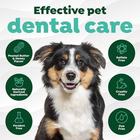 2oz TropiClean Fresh Breath - Dog Toothpaste - Dog Teeth Cleaning Peanut Butter & Honey Flavor - Freshens Breath