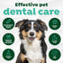 2oz TropiClean Fresh Breath - Dog Toothpaste - Dog Teeth Cleaning Peanut Butter & Honey Flavor - Freshens Breath