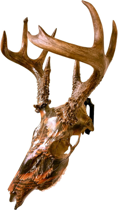 Heavy-Duty Alloy Steel European Skull Mount Hanger, 3 Pack (Black) for Whitetail Deer, Feral Hog, Bear & Exotic Skulls