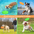 Nobleza 2 Pack Dog Flying Disc - Interactive Flyer Toys for Small, Medium, Large Dogs, Durable Outdoor Disc Toy