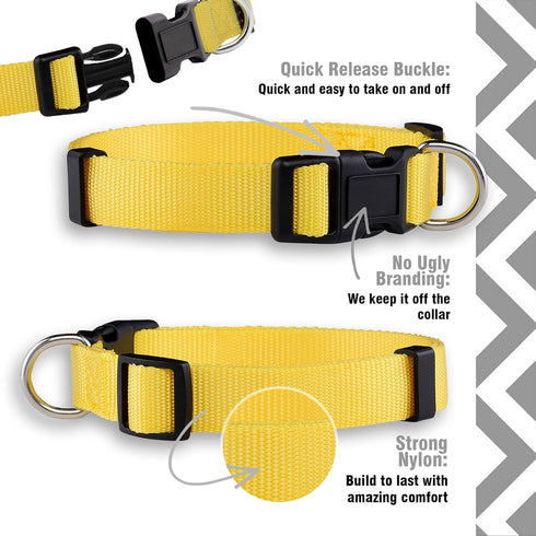 Native Pup Basic Nylon Dog Collar, Adjustable for Small Medium Large Pets, Cute Colors for Boys and Girls (Medium,
