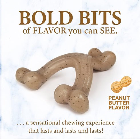 Nylabone Dog, Puppy Gourmet Style Strong Chew Toy, Wishbone Peanut Butter Small/Regular (1 Count)