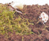 Begeterday 3PCS, 2PCS 15oz 1PCS 3.5oz Hermit Crab Accessories Include Coco Coir Brick, Moisture-Retaining Substrate