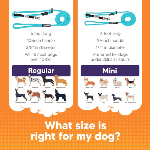 Heather's Heroes Sidekick Dog Headcollar with Leash - Effective Training Tool for Leash Reactivity (Turquoise, Mini