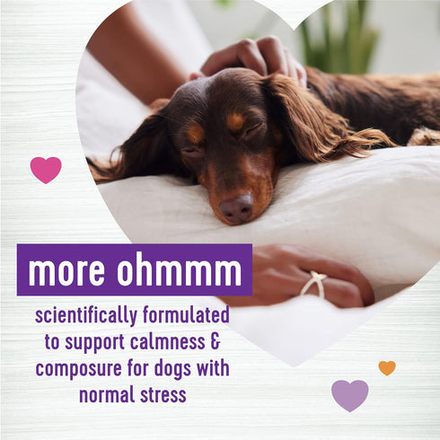 45 Count Wellness Tasty Cheese Flavored Soft Chews Calming Supplements for Dogs
