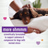 45 Count Wellness Tasty Cheese Flavored Soft Chews Calming Supplements for Dogs