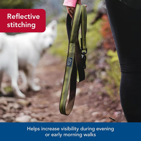 Coastal Pet K9 Explorer Reflective Dog Leash, Durable Nylon, Sapphire, 5/8" x 6'
