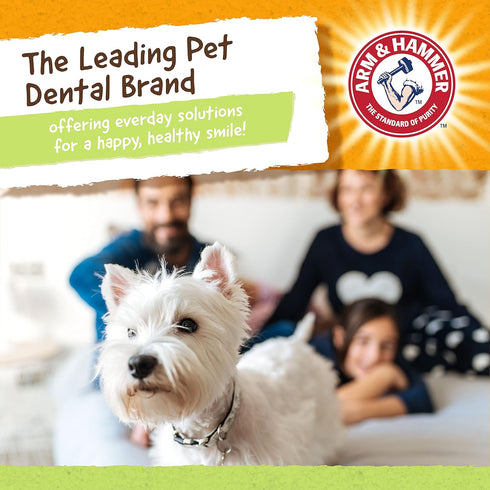 Arm & Hammer Rock-N-Roller Stuffable Dental Chew Toy, Perfect Fit for Tennis Ball, Tough Chew Toy