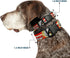Buckle-Down Dog Collar Plastic Clip, Thor Hammer Red Yellow White, 11 to 17 Inches