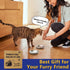 5.9'' Wide Whisker Friendly Cat Bowl, 304 Stainless Steel Bowls Set, 2 Pcs Shallow Metal Dish for Cats
