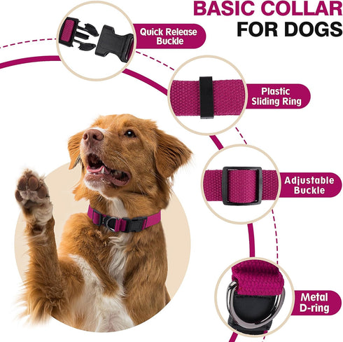 Classic Large Dog Collar for Mini Dogs, Extra Small Puppy Collar with Buckle, D-Ring, Removable Tag (15.7"-23.6" L, 1"