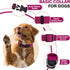 Classic Large Dog Collar for Mini Dogs, Extra Small Puppy Collar with Buckle, D-Ring, Removable Tag (15.7"-23.6" L, 1"