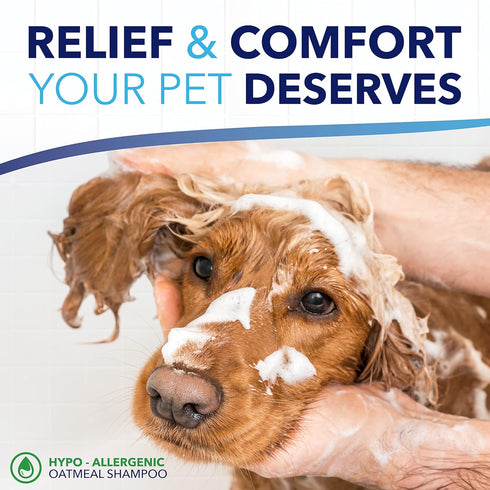 TropiClean Oxymed Sensitive Skin Cat & Dog Shampoo | Skin Soothing Oatmeal Shampoo for Pets 20 oz