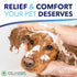 TropiClean Oxymed Sensitive Skin Cat & Dog Shampoo | Skin Soothing Oatmeal Shampoo for Pets 20 oz