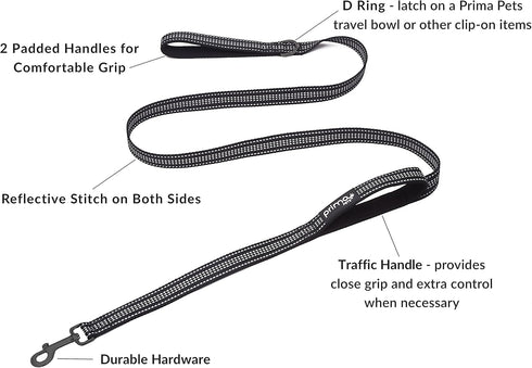 Reflective Nylon Leash with Thick Neoprene Ergonomic Dual Handles, Large 1 Inch Width x 6 Feet for Dogs