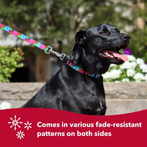 Coastal Pet Styles Adjustable Dog Collar - Stylish Patterned Fabrics - 3/8" x 08"-12"