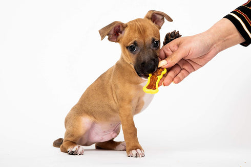 Hartz Chew 'n Clean Dental Duo Dog Treat & Chew Toy, Color Varies, Extra Small, 6 Count