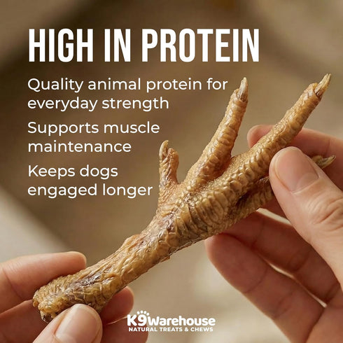 K9warehouse 30 Count, 100% Chicken Feet for Dogs - Dehydrated Chicken Dog Treats, Natural, High Protein, Single