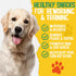 Zevy and Zoe's All Breeds Dog Treats, 11 oz, Rawhide Free Chicken Sticks Wrapped Dog Chews