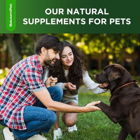 Natural Antibiotics for Dogs, Supports Dog Allergy Relief, Itch Relief, Multivitamin, Pet Antibiotics, 2 Oz